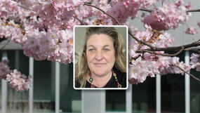 Visuel cycle de conférence du CAREL | Photo de Bernadette O'Rourke Visuel cycle de conférence du CAREL | Photo de Bernadette O'Rourke