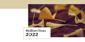 Carte de voeux INSPÉ 2022