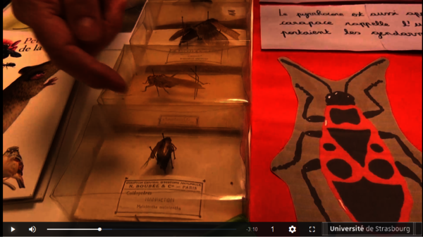 Photo extraite de la vidéo "c'est la classe n°6"