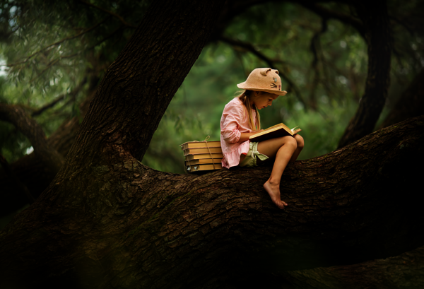 Photo d'une fillette assise sur une branche, dans un arbre, avec des livre