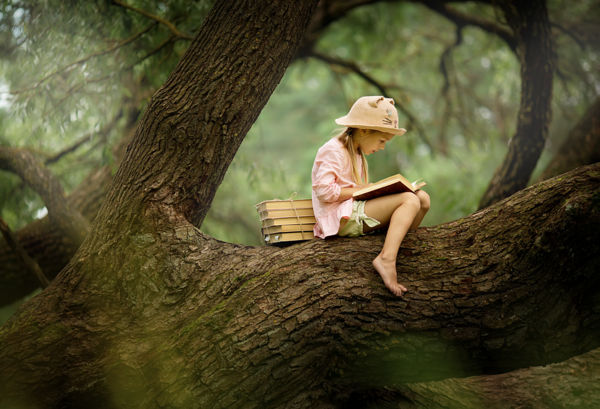 Photo d'une fillette assise sur une branche, dans un arbre, avec des livre