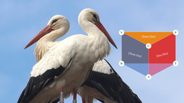 Visuel du symposium recadré