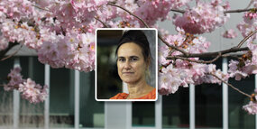 Visuel du cycle de conférences du Carel avec photo de Christine Biebricher | INSPE