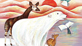 Visuel du festival du livre de Colmar 2023 recadré