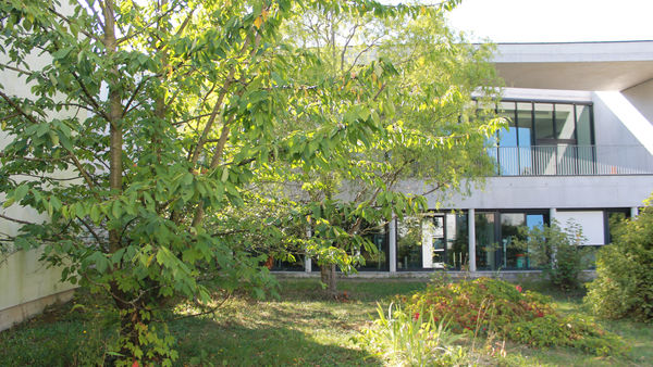 Photo de l'INSPÉ, campus de la Meinau, côté jardin